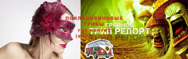 PSILOCYBIN Абинск